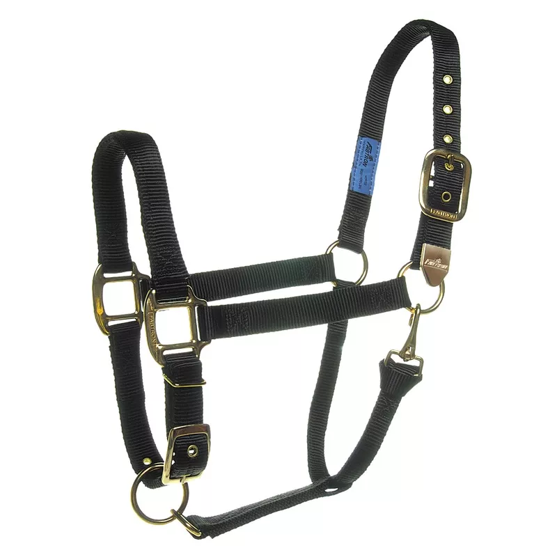 1" Pro-Deluxe Nylon Halter w/Brass Grommets & Tips 1-Red