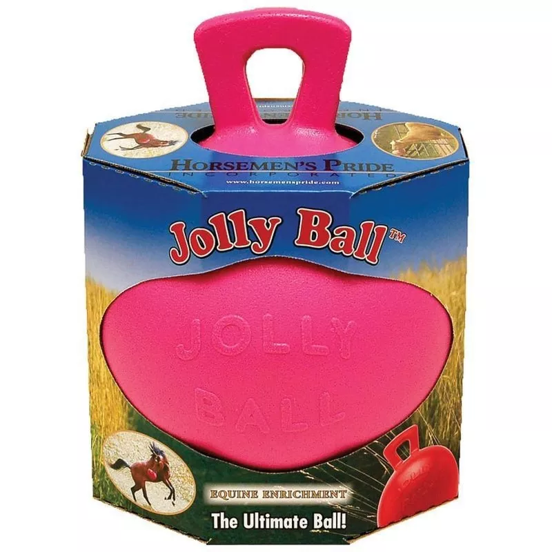 10" Jolly Ball Toy Peppermint