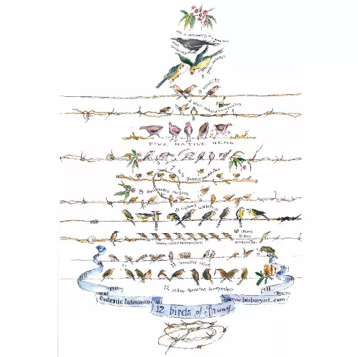 12 Birds of Bruny Island Poster