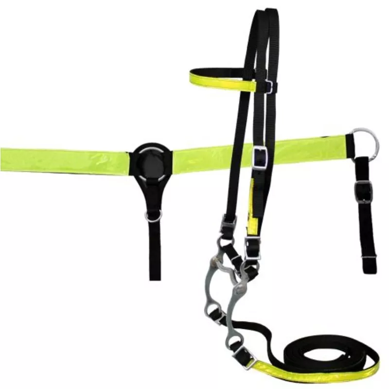 #12648H: Showman horse size nylon headstall and breast collar set with reflector strips