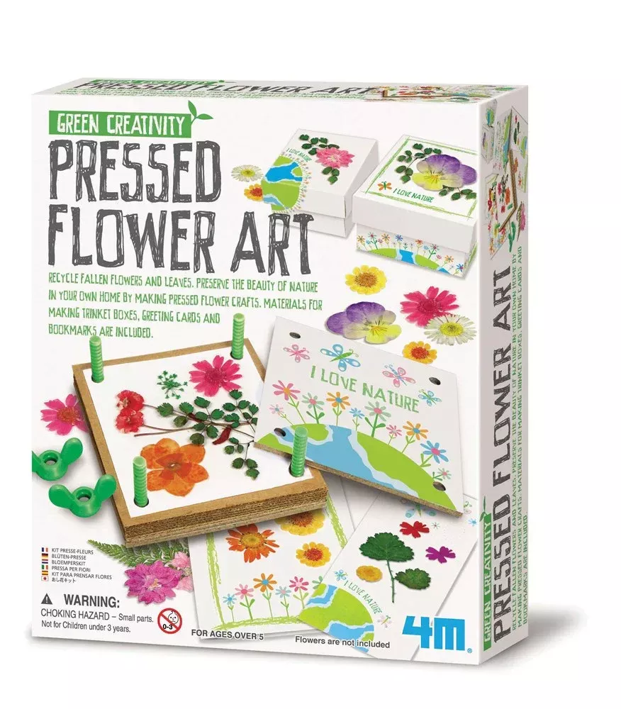 4M Green Science Pressed Flower Art