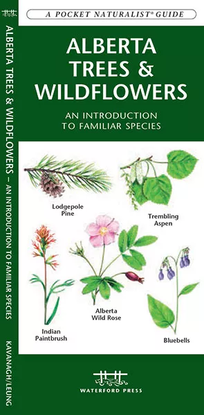 Alberta Trees & Wildflowers - Folding Pocket Guide