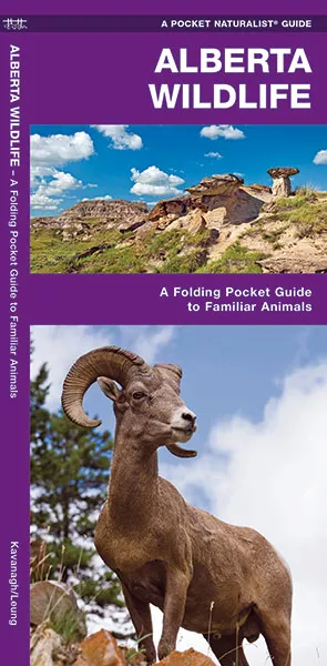 Alberta Wildlife - Folding Pocket Guide