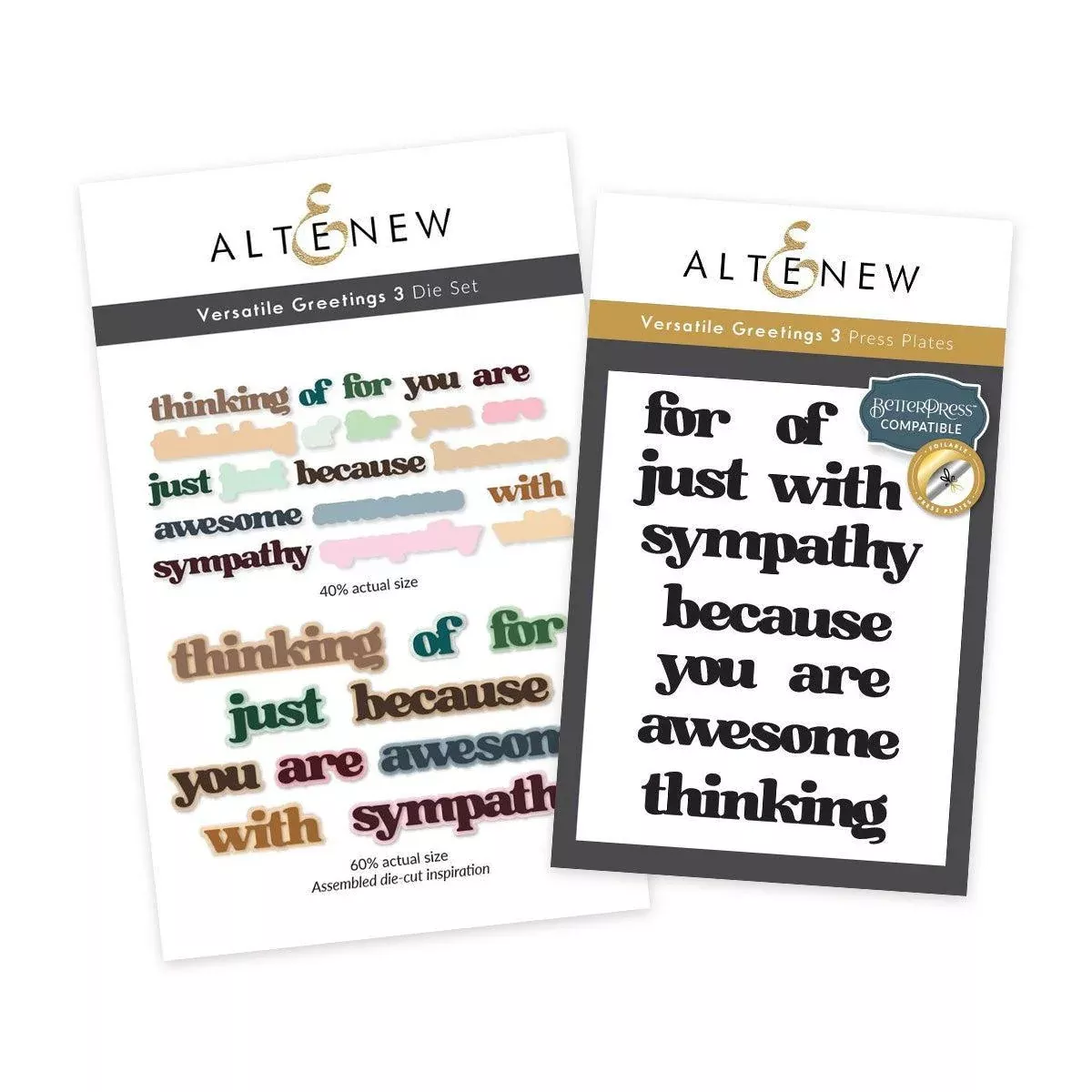 Altenew - Press Plates & Dies - Versatile Greetings 3 (Comfort Edition)