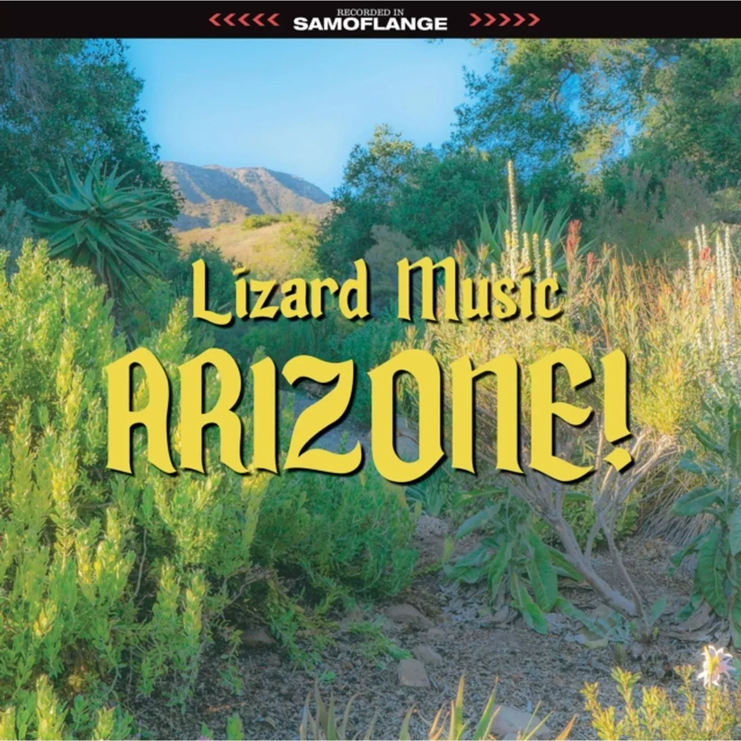 Arizone!