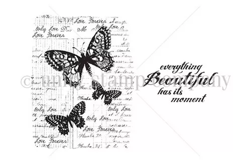 Beautiful Moments