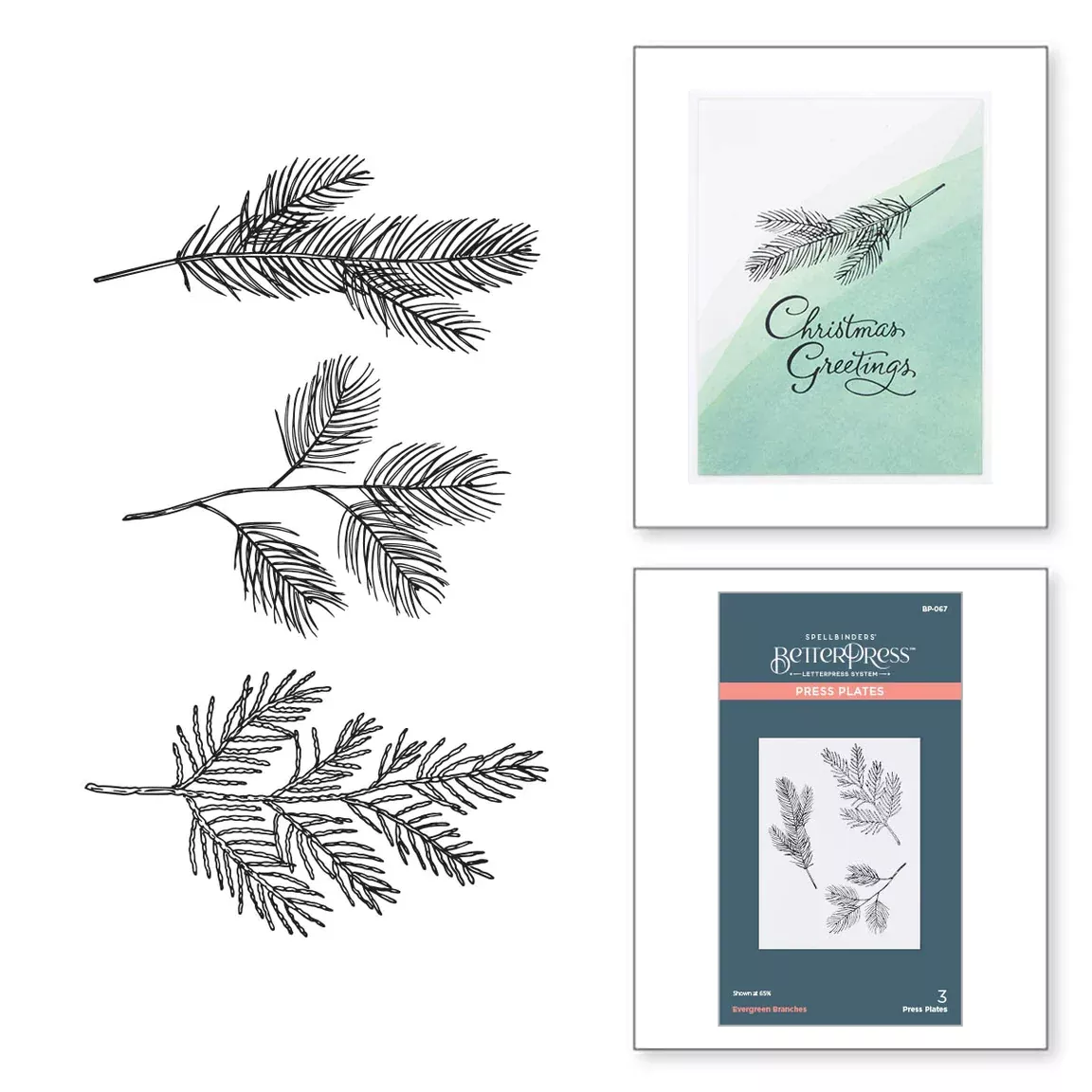 Better Press: Spellbinders-EVERGREEN BRANCHES PRESS PLATE FROM THE BETTERPRESS CHRISTMAS COLLECTION