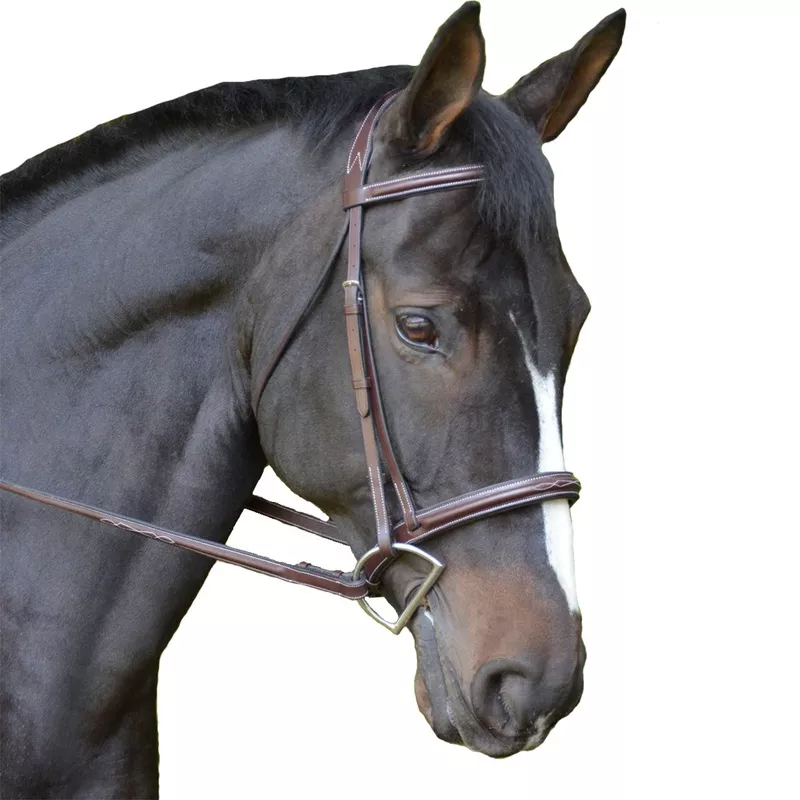 Black Oak by KL Select Cyprus Hunter Bridle Brown