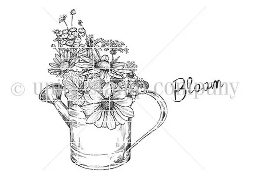 Bloom {wk 5/22}