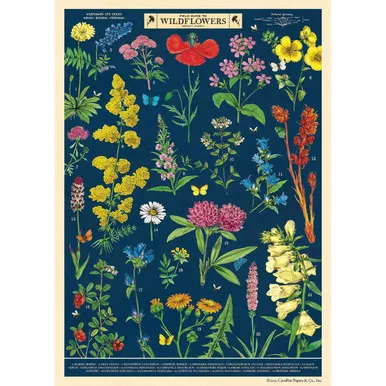 Cavallini Paper, Field Guide to Wildflowers