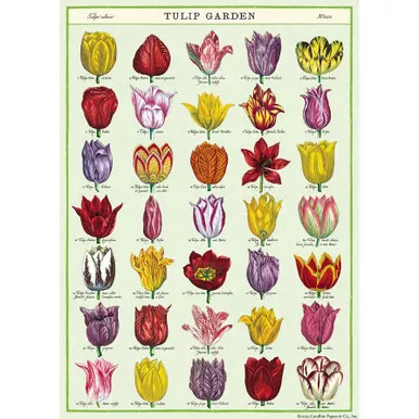 Cavallini Paper, Tulip Garden