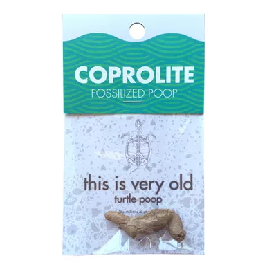Copernicus Coprolite Fossilized Poop