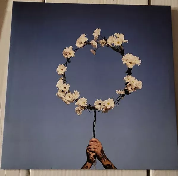 Daisy Chain- The World Is Not Spinning (LP)