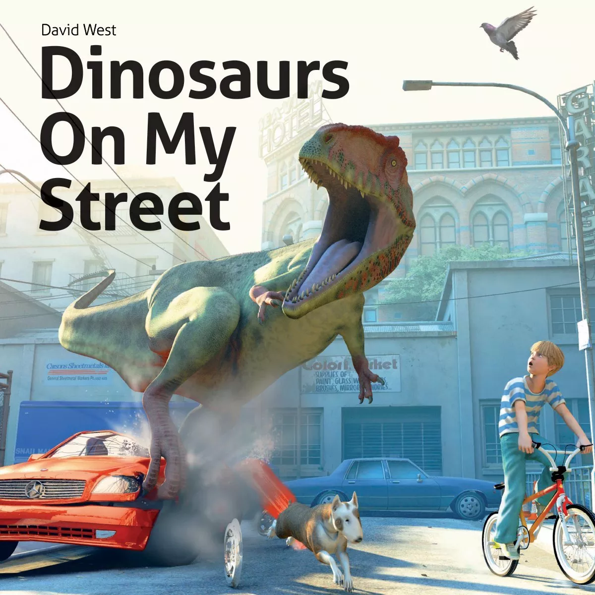 Dinosaurs On My Street - Book