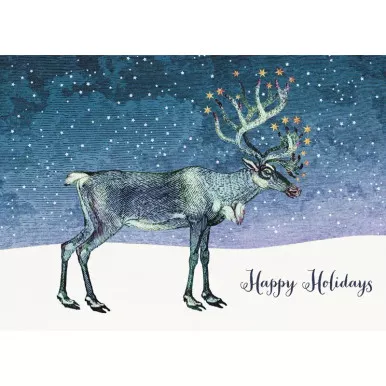 Earth Magic Reindeer Boxed Card Set