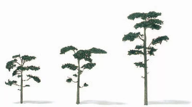 Etched Brass Scots Pine Trees - H=30mm