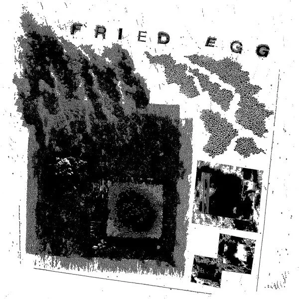 Fried Egg - Square One (12")