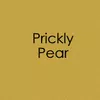 Gina K Designs Envelopes 10 pack- Prickly Pear