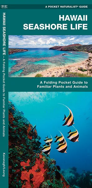Hawaii Seashore Life - Folding Pocket Guide