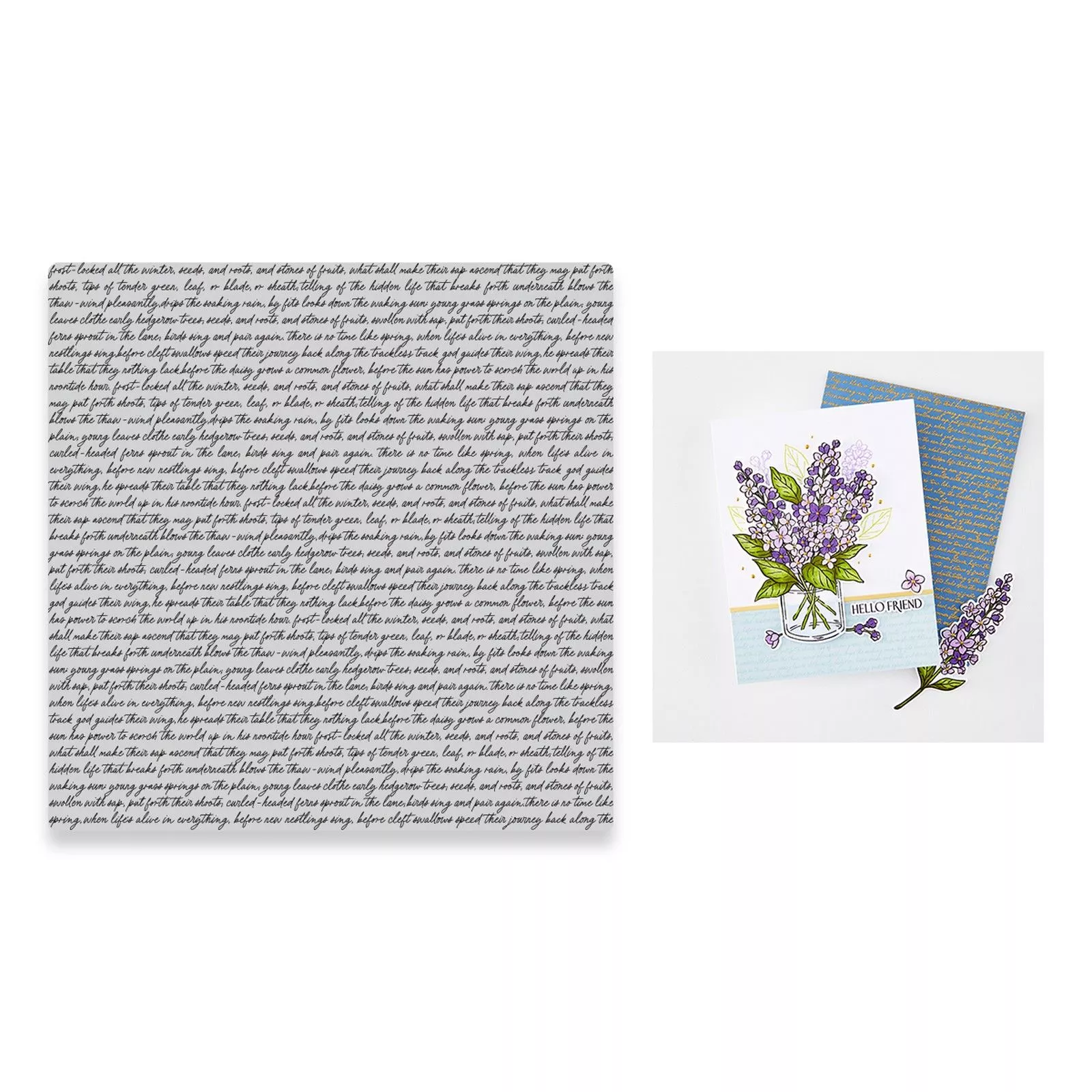 Hero Arts • Cling Stamp Birdsong Script Background 6"x6"