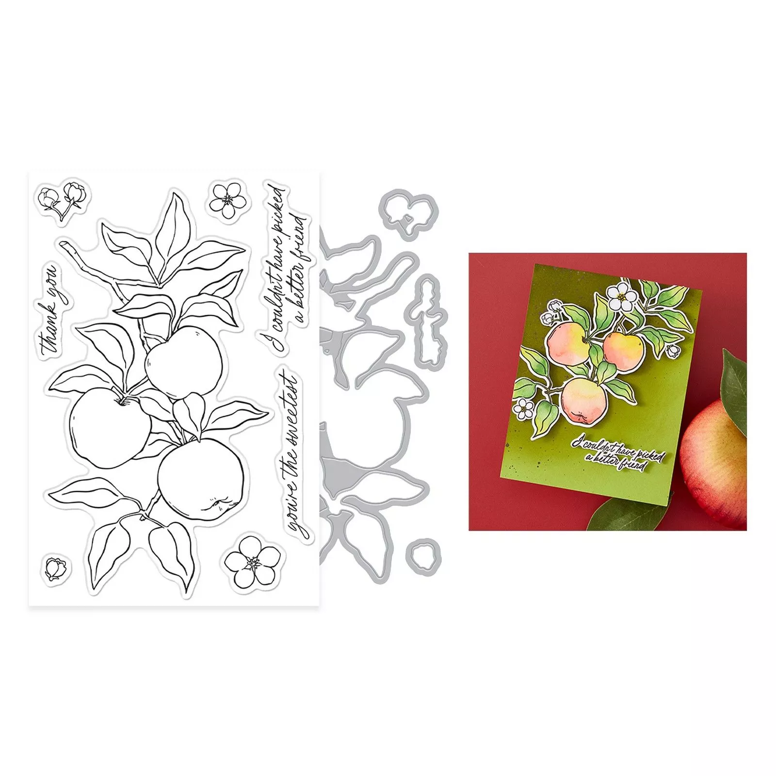 Hero Arts • Stamp & Cut Set Apple Branch 16pcs