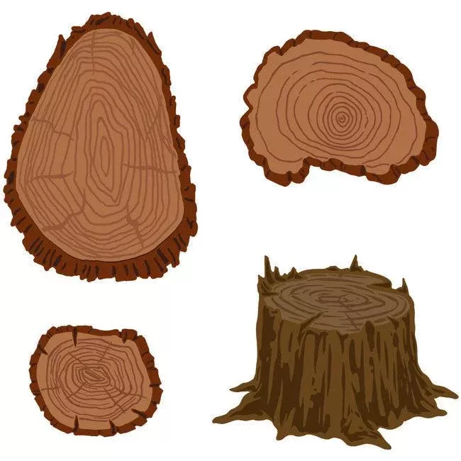 Honey Bee Stamps - Honey Cuts - Lovely Layers: Slice & Stump
