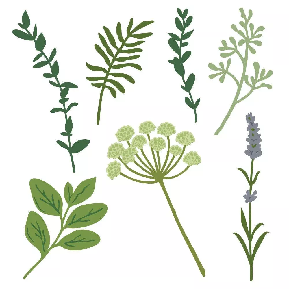 Honey Bee Stamps - Honey Cuts - Lovely Layers: Spring Greenery