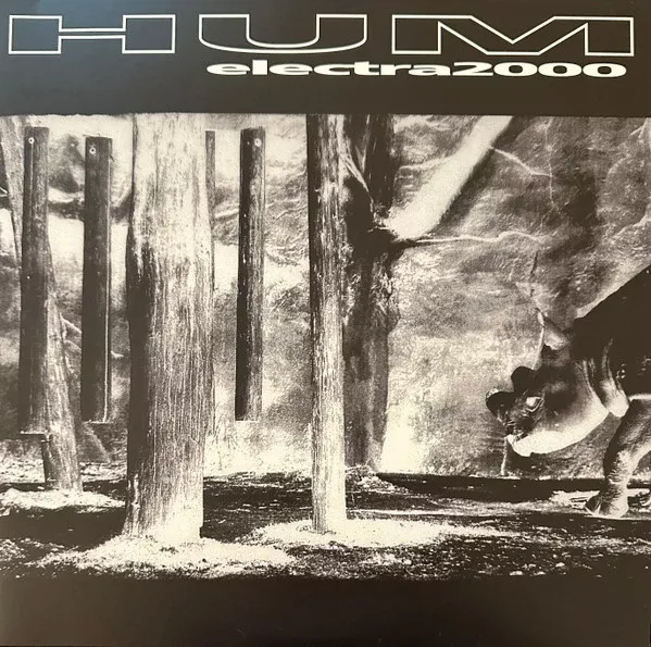Hum- Electra 2000 (2xLP, RE, RM)