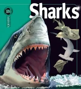 INSIDERS: Sharks - Book