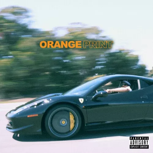 Larry June - Orange PrintLP