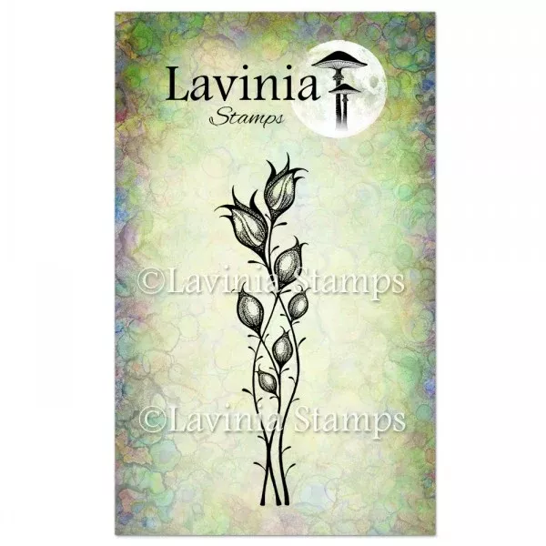 Lavinia - Star Blossom Stamp LAV467