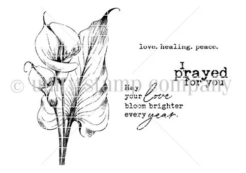 Lily, Love & Prayers