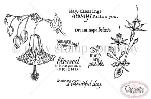 May Blessings Follow You