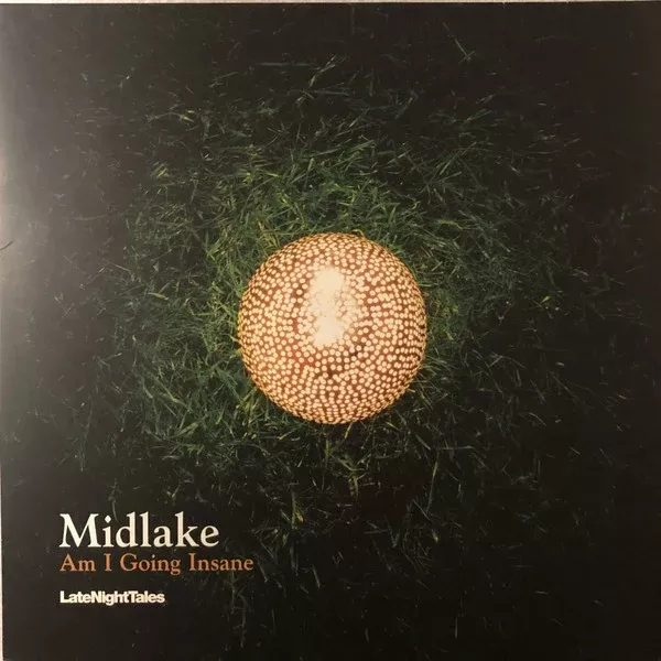 Midlake - Am I Going Insane (12", Single, Ltd)