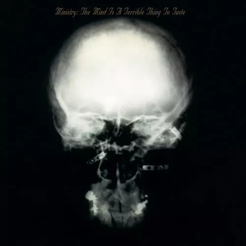 Ministry - The Mind is a Terrible Thing to Taste (Brick & Mortar Exclusive, Expanded, 180g) 2LP