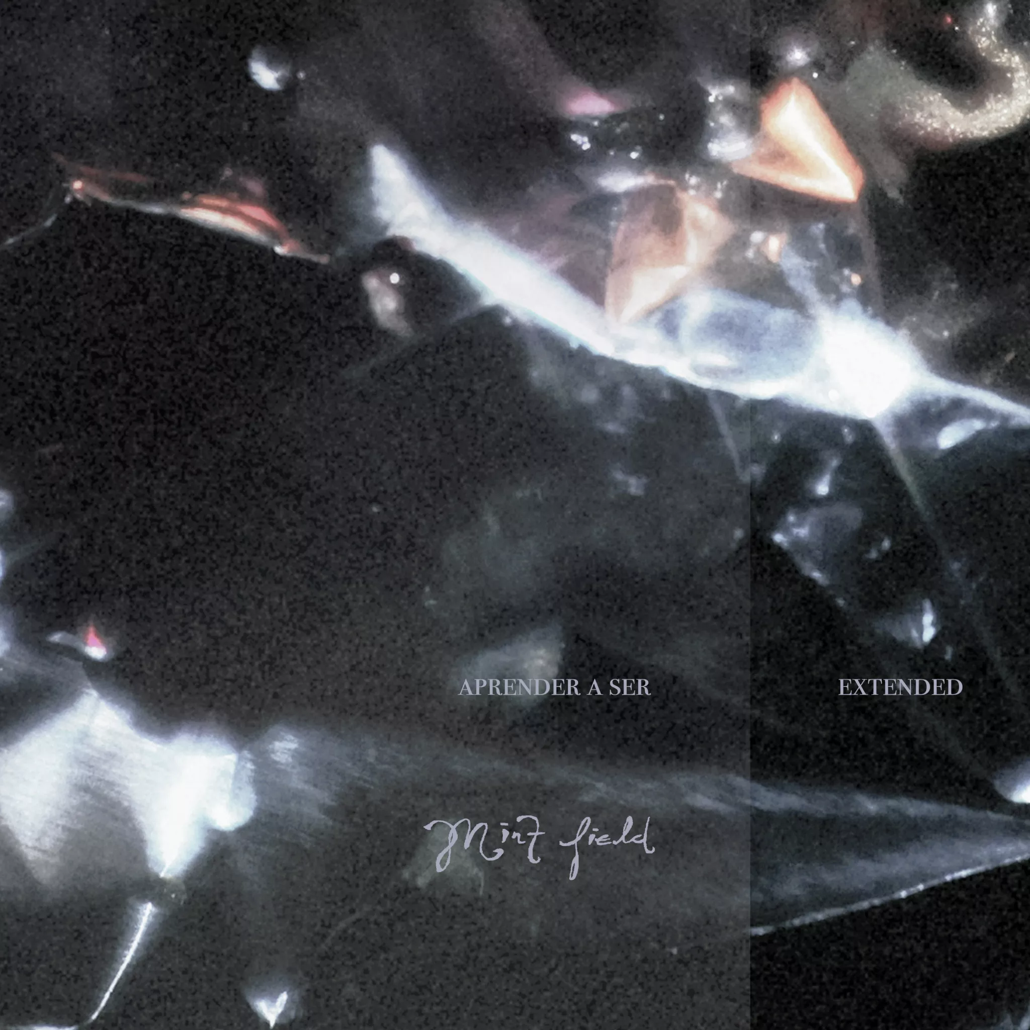 Mint Field - Aprender a Ser: Extended (Clear) LP