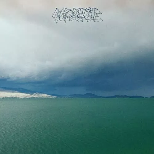 Modest Mouse - Fruit That Ate Itself LP