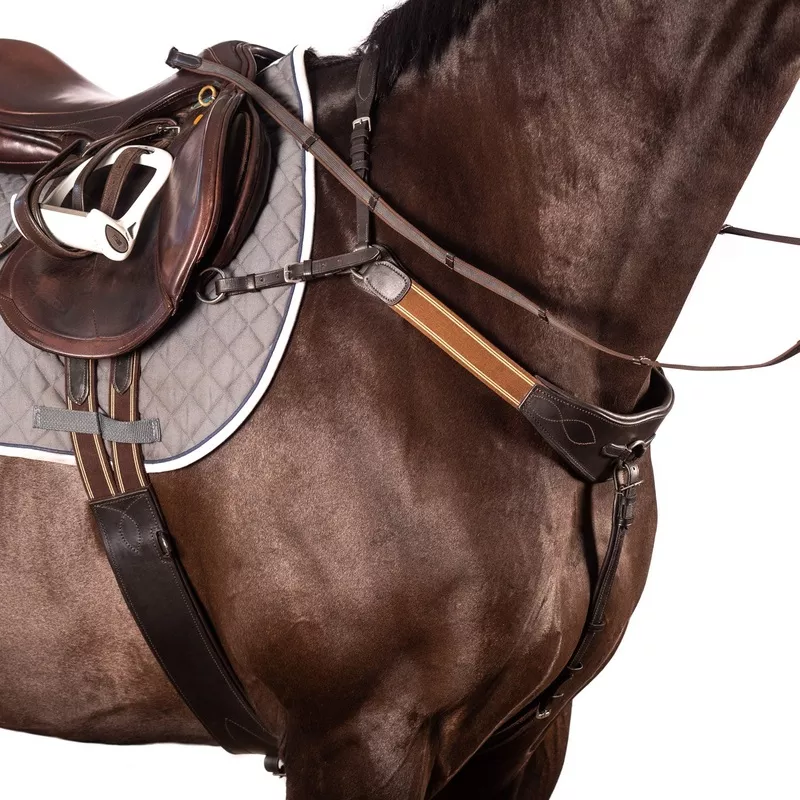 Modified Bridge Breastplate - Matching Elastic Havana