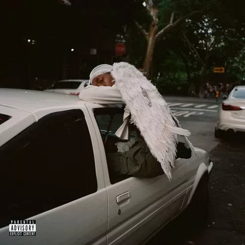 Negro Swan 2LP