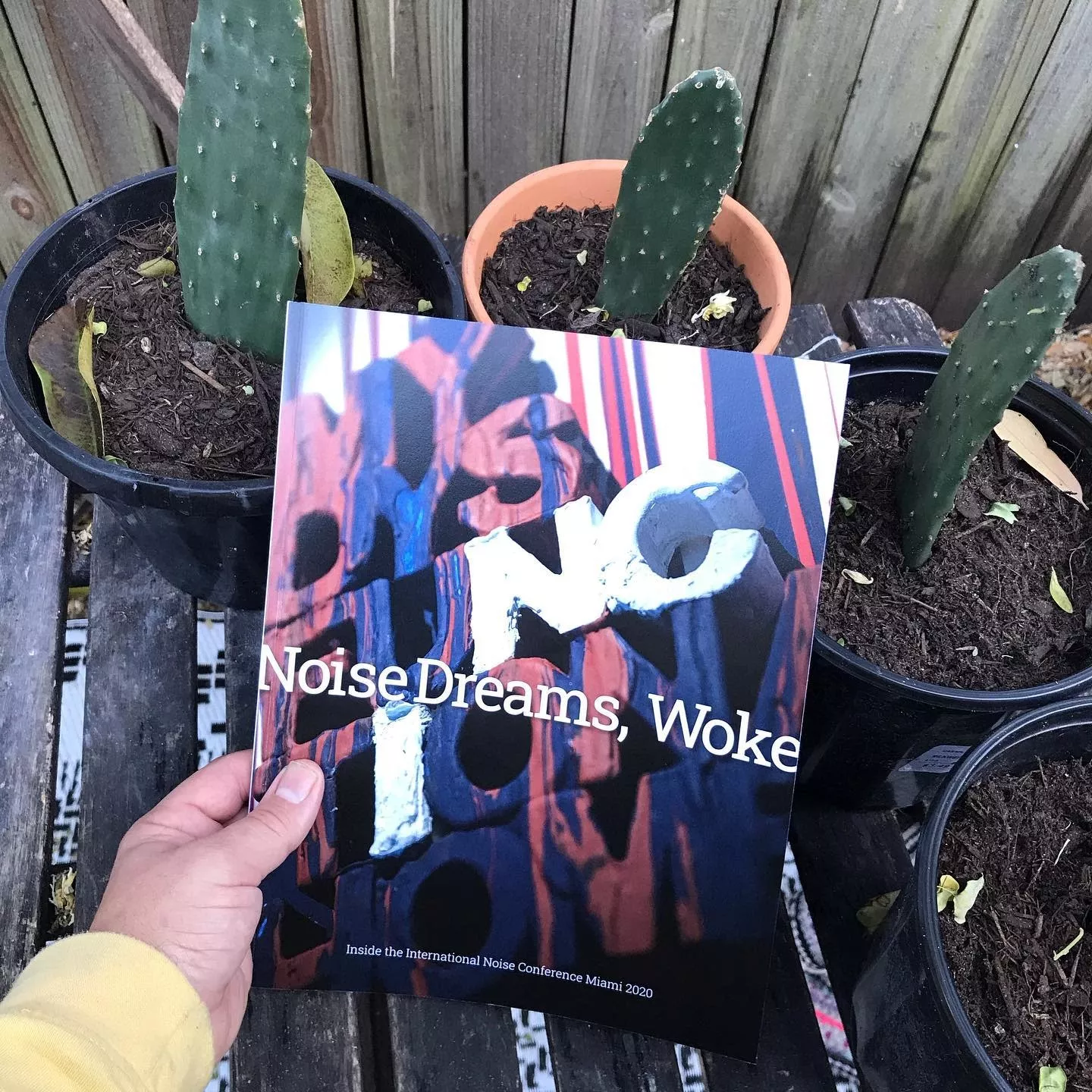 Noise Dreams, Woke (Paperback)
