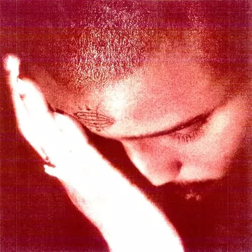 Nourished by Time - The Passionate Ones LP