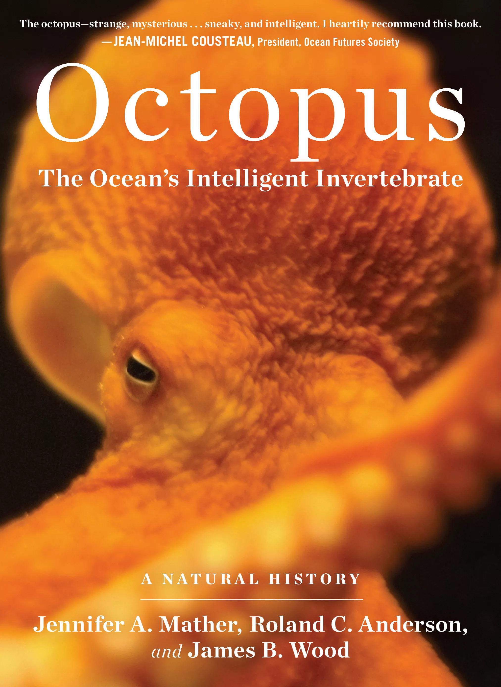 Octopus: The Ocean's Intelligent Invertebrate - Book