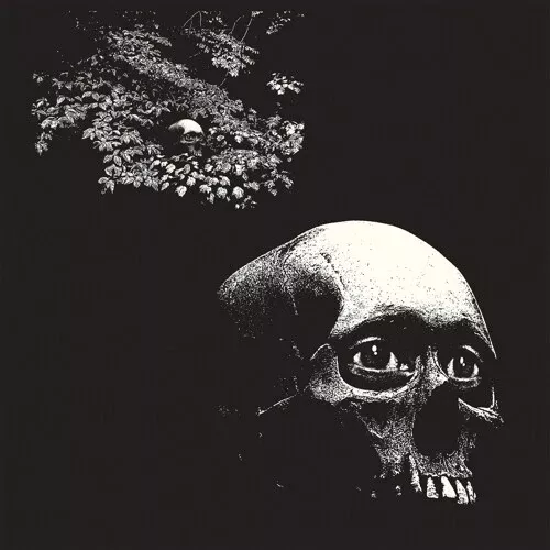 Osees - A Foul Form (Vinyl)
