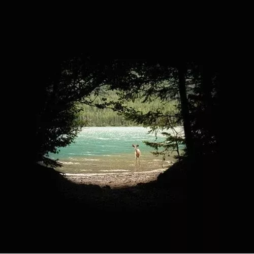 Paul Duncan- Above The Trees (CD, Album)