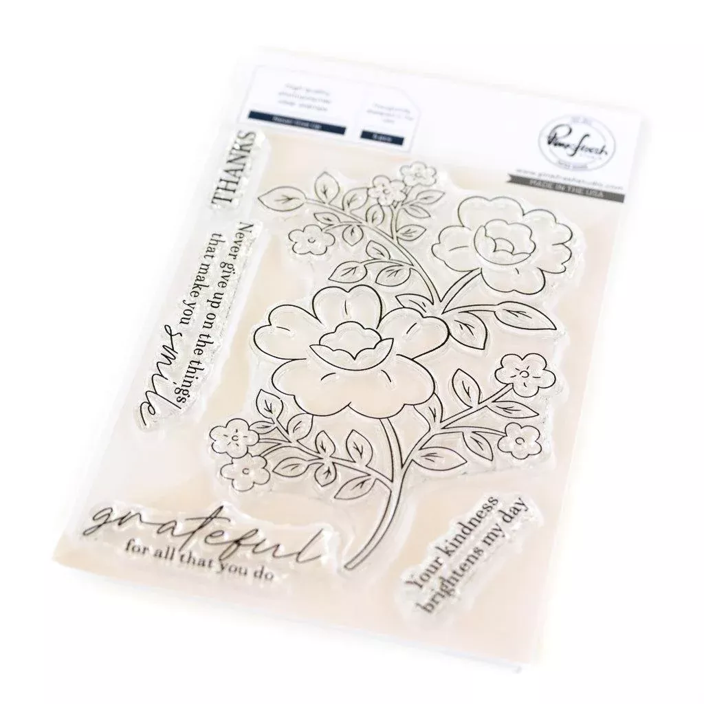 Pinkfresh Studio - Clear Stamps - Never Give Up