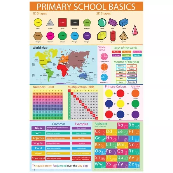 Primary School Basics Poster