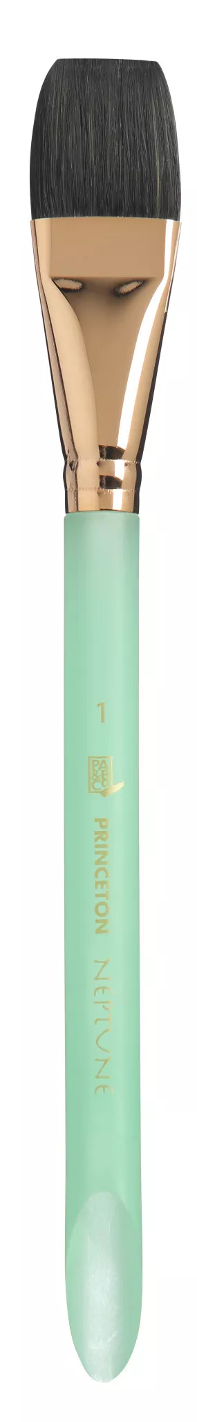 Princeton Neptune Aquarelle 1"