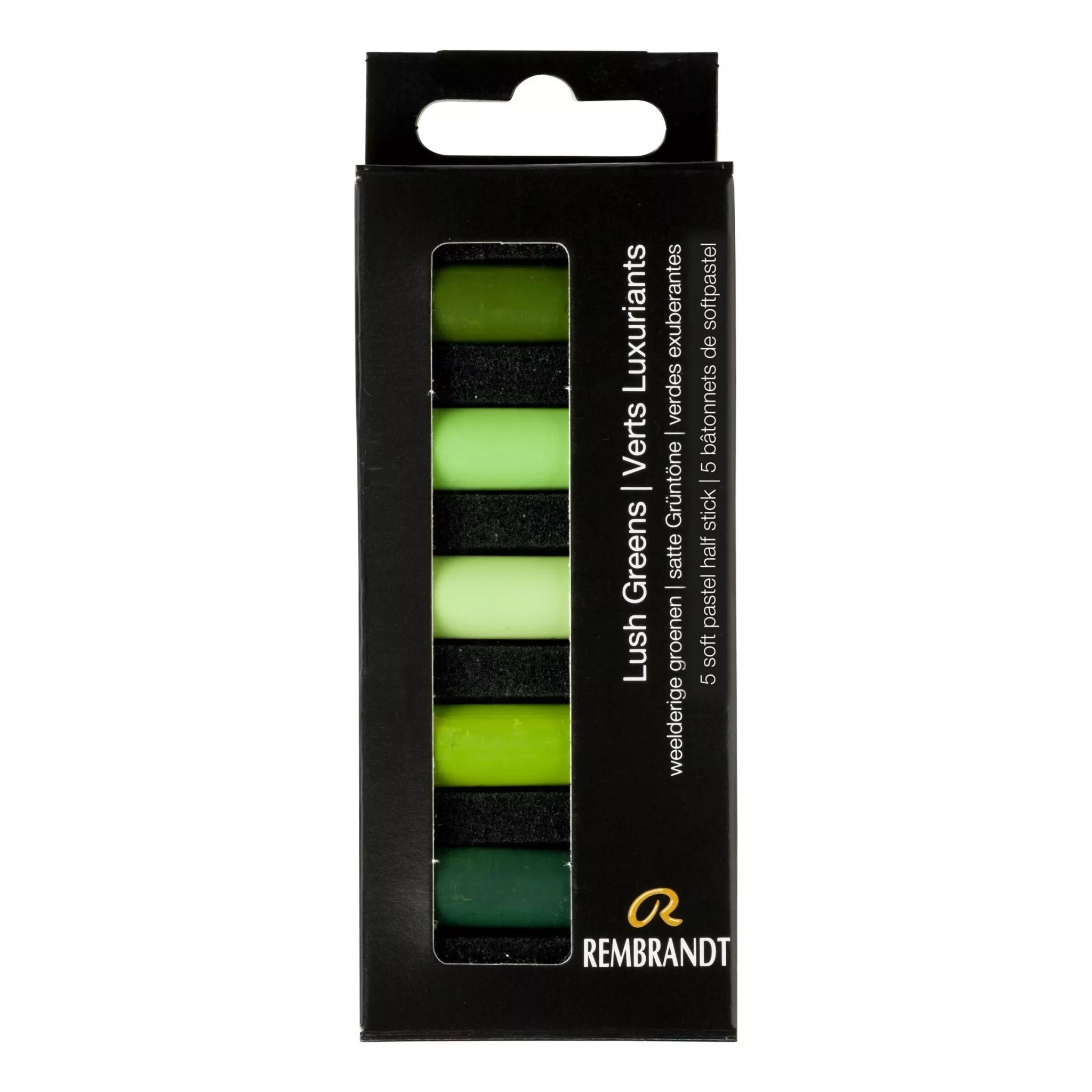 Rembrandt Soft Pastel 5 Half Stick Micro Set Lush Greens