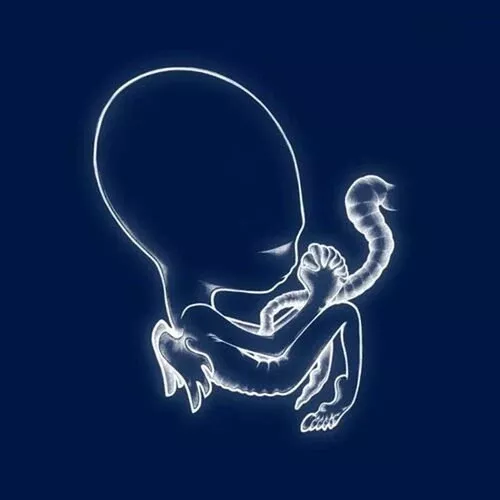 Sigur Rós - Ágætis byrjun (2LP)