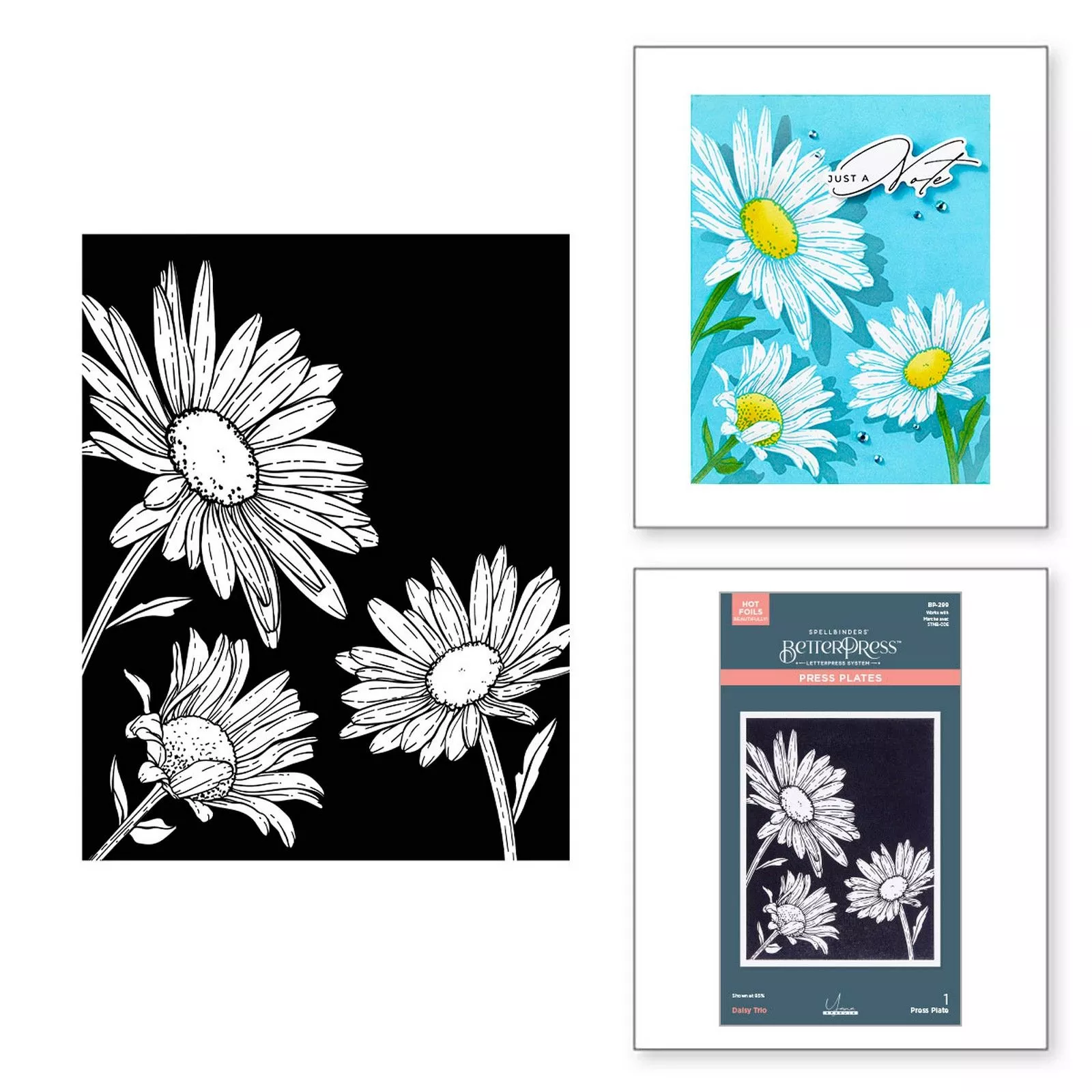 Spellbinders • BetterPress Plate Daisy Trio 4.4"x5.65"